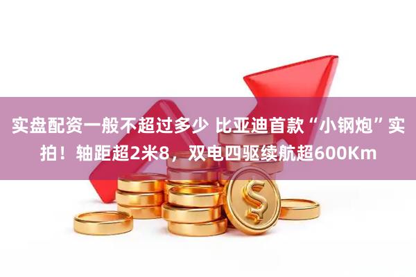 实盘配资一般不超过多少 比亚迪首款“小钢炮”实拍！轴距超2米8，双电四驱续航超600Km